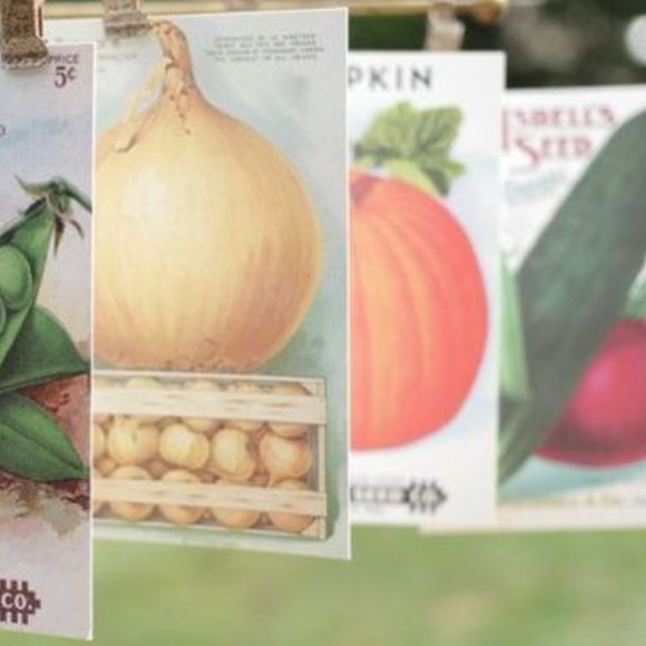 Vintage Farmer's Market Carte Postale postcard set - Picture 5 of 5